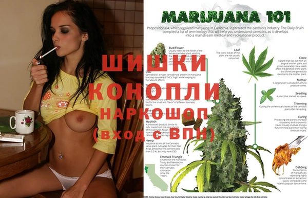 сатива Сосновоборск