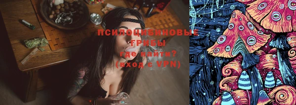 хмурый Слюдянка