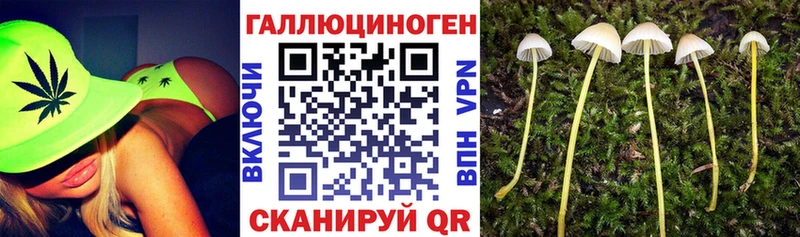 продажа наркотиков  Приволжск  Псилоцибиновые грибы GOLDEN TEACHER 